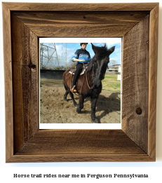 horse trail rides near me in Ferguson, Pennsylvania